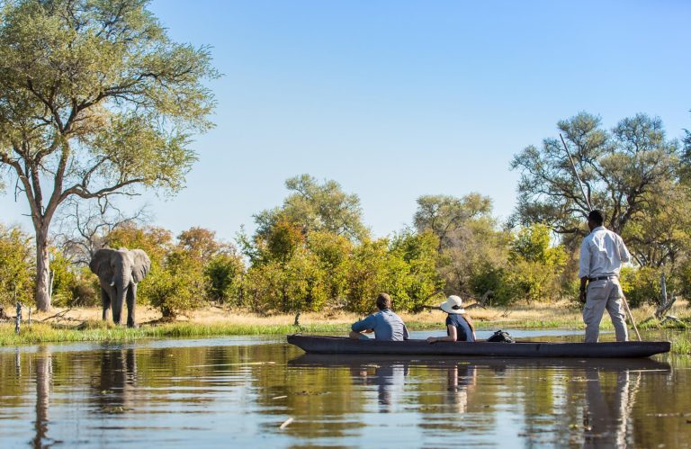 Canoe safari with elephant by river bank in Machaba Camps